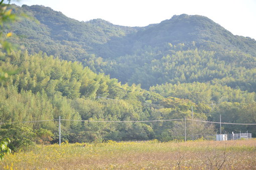 手島の風景