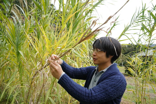 暖竹の畑と廣瀬さん