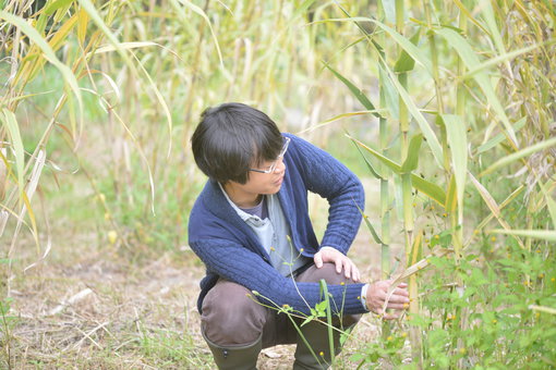 暖竹の畑と廣瀬さん