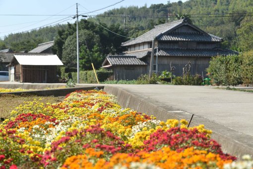 手島の風景